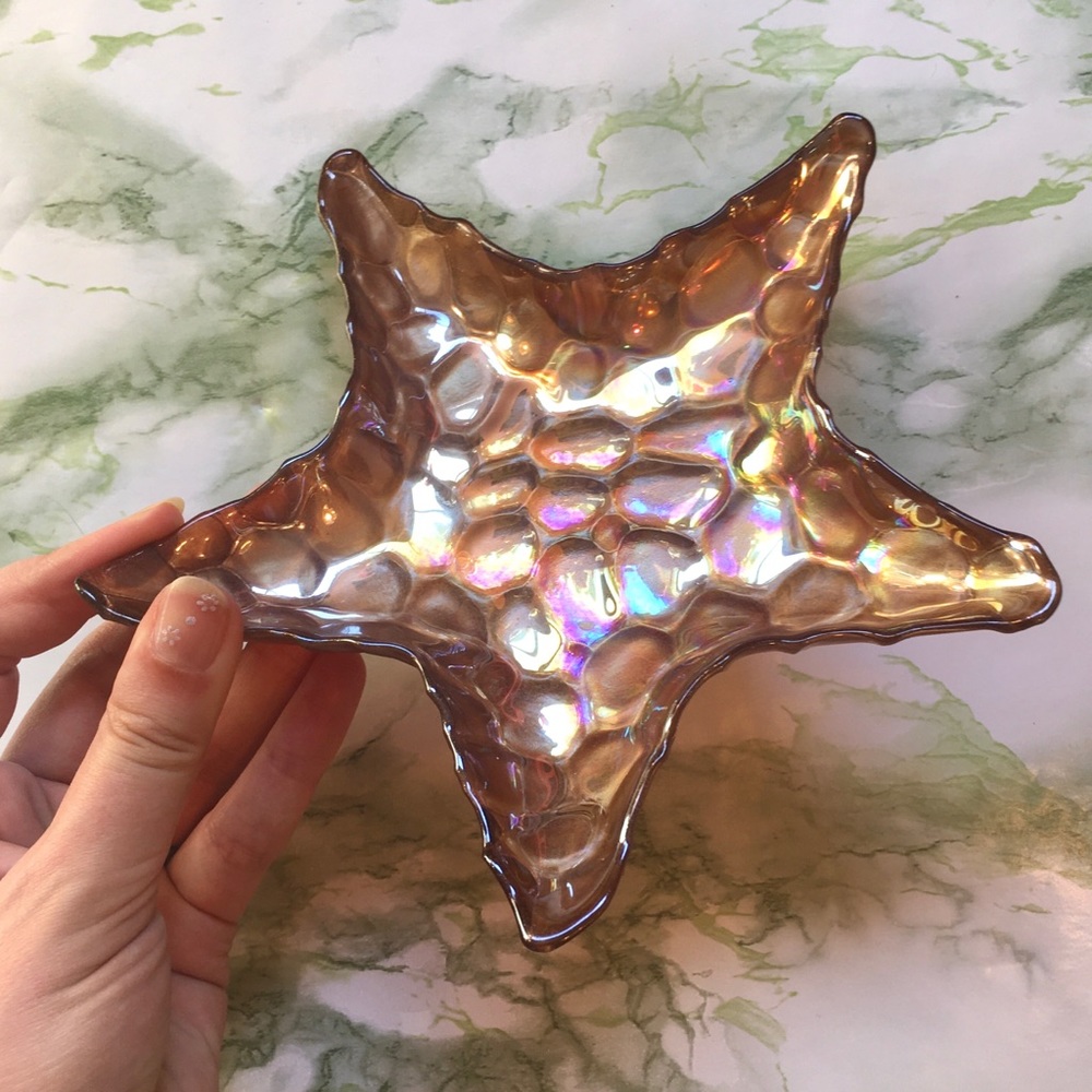 ⭐️ Starfish Catch All ⭐️